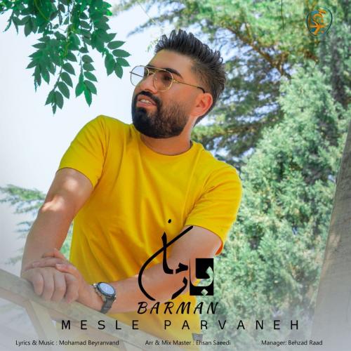 بارمان مثل پروانه